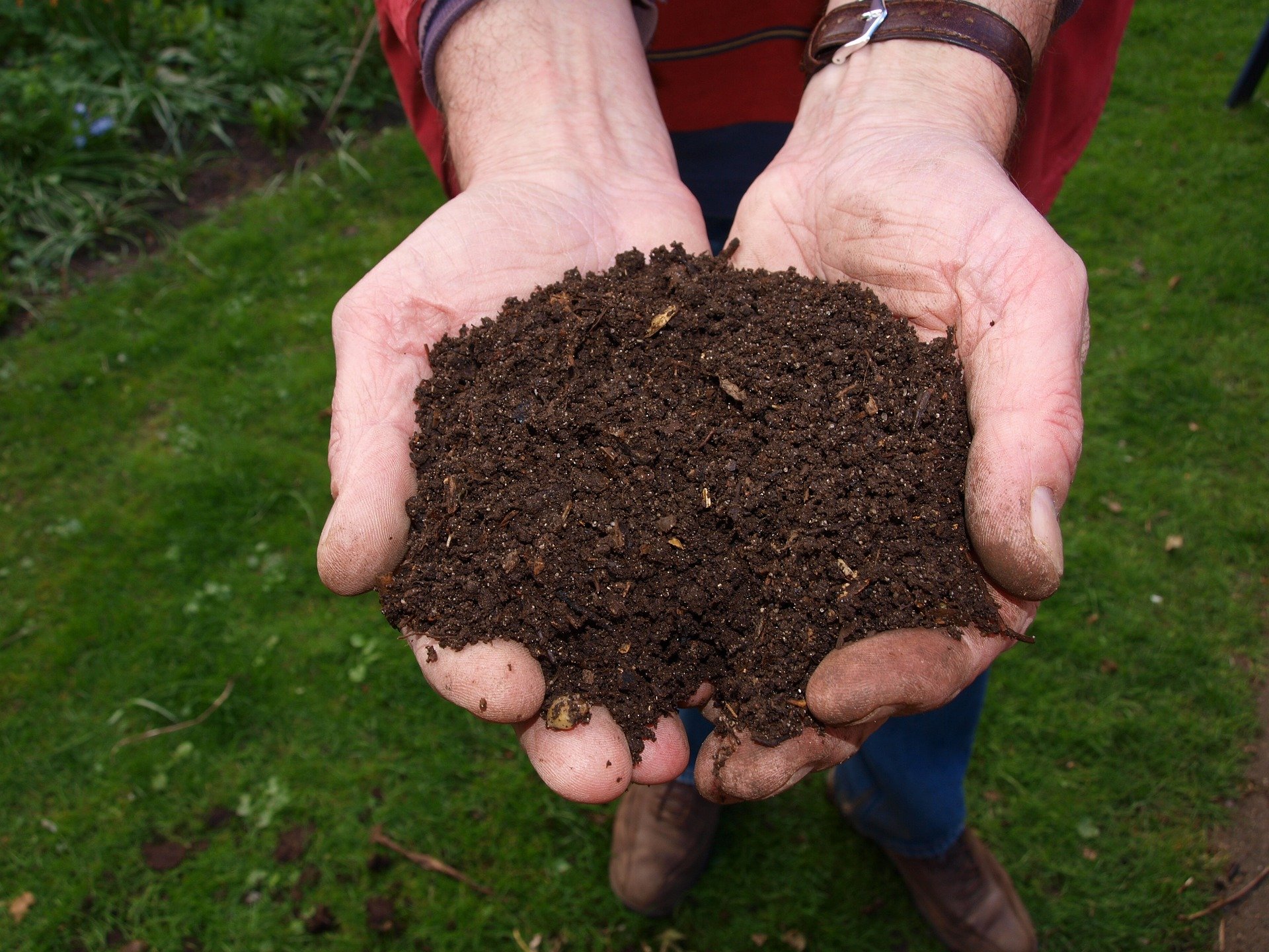 Utiliser correctement le compost dans le jardin - Mon Jardin Ideal